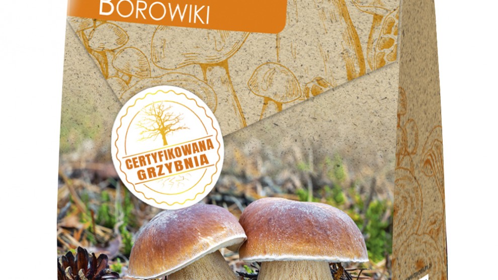 Wyselekcjonowana grzybnia Borowiki